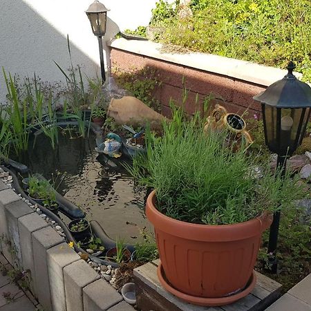 Apartment Gartenblick Нойнкирхен Экстерьер фото